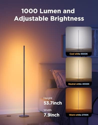 Govee RGBIC Floor Lamp Basic Review